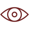vision (1)
